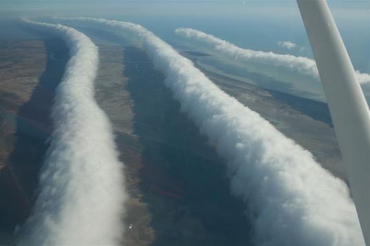 Las nubes morning glory (gloria matutina)  tienen forma de rollo, pueden alcanzar hasta los 1000 km de largo, de 1 a 2 km de altura y desplazarse a velocidades de hasta 60 km/h. En la parte frontal tienen fuertes movimientos verticales que trans...