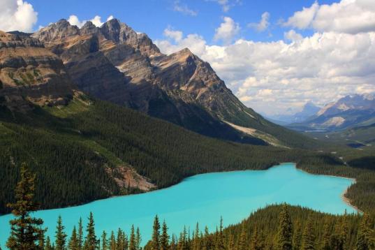 Este color imposible del Lago Peyto se produce en verano, cuando importantes cantidades de finísimas partículas glaciares se vierten sobre las aguas. Forma parte del Parque Natural Banff, en las Montañas Rocosas de Canadá. El lago mide algo ...