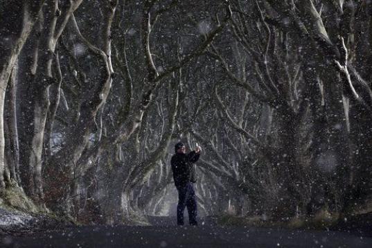 Un hombre toma una fotografía con su móvil bajo la nieve en Dark Hedges, en el condado de Antrim (Irlanda del Norte). El lugar fue una de las localizaciones del rodaje de la serie de televisión Juego de Tronos.