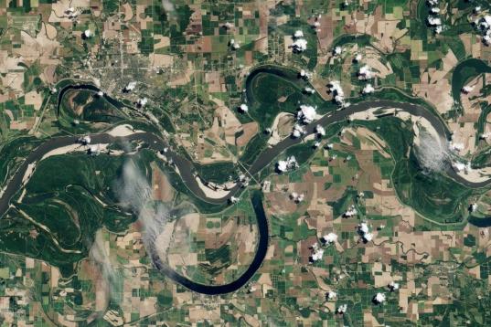En agosto, el río Misisipi (Estados Unidos) dejó de ser navegable en buena parte de su recorrido, quedando centenares de barcos varados en bancos de arena.