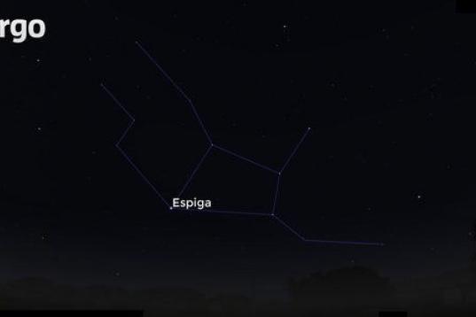 Después de pasar Arcturus y siguiendo el camino del arco hacia el sur llegamos a Espiga, que es la estrella más brillante de Virgo. Este astro es el punto más fácil de identificar de la constelación zodiacal. 