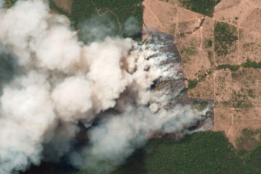 Imagen de satélite del 20 de agosto sobre el estado de Pará (Brasil).