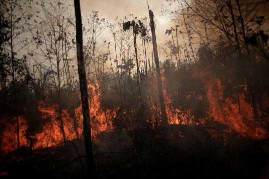 Una franja de la Amazonia en Porto Velho, deforestada por agricultores y ganaderos el 23 de agosto.