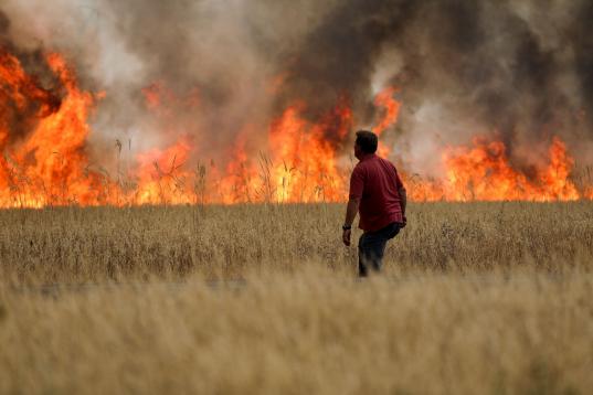 Un vecino de Tábara (Zamora) observa impotente cómo se queman sus campos