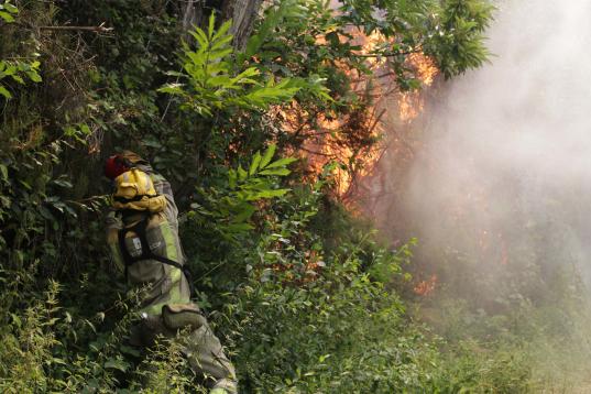Un bombero se exprime para apaciguar las llamas en Folgoso do Courel, Lugo