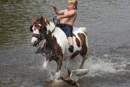 Un joven gitano romaní atraviesa a caballo el río Eden durante la feria del caballo de Appleby, en Reino Unido. Cada año, miles de gitanos llegados de toda Europa se dan cita en este mercado equino para reunirse con viejos amigos y vender sus...