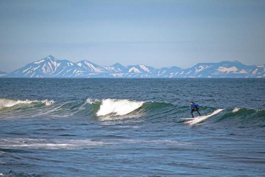Al surfear en un lugar salvaje como éste es normal poder encontrarse con animales: focas o ballenas.