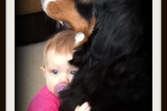 "[My dog taught my baby] How to love." -- Sarah W.

Babies and toddlers are already expert cuddlers. The hope, of course, is that by having a snuggable furry friend in the house, the chances of kids enjoying hugs and kisses from mommy after the ...