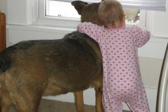 "My daughter has learned how to crawl with the help of our dog, as well as how to bark (and unfortunately beg)." - Bonnie L.

We already know that dogs love to look out the window. And, when kids take the time to gaze outside with a four-legge...