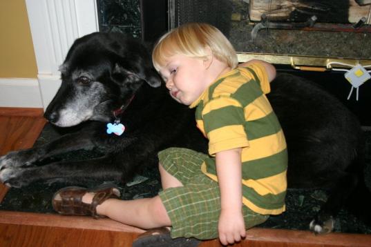 "My kids have learned patience, kindness, and responsiblity from our pets. They have also, sadly, learned about death. ... Sad to lose our sweet pets, but a good introduction into the idea of life and death for our kids." - Kirstin Mix

As Lin...