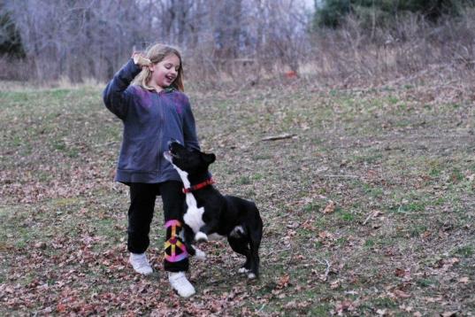 "Outdoor play is beneficial for motor development, vision, cognition, Vitamin D levels and mental health," Pooja Tandon, of Seattle Children's Research Institute recently told The Huffington Post. Get a dog or an outdoors cat, and the time your ...