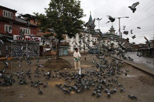 Un hombre da de comer a las palomas durante el toque de queda en el centro de Srinagar, India. 