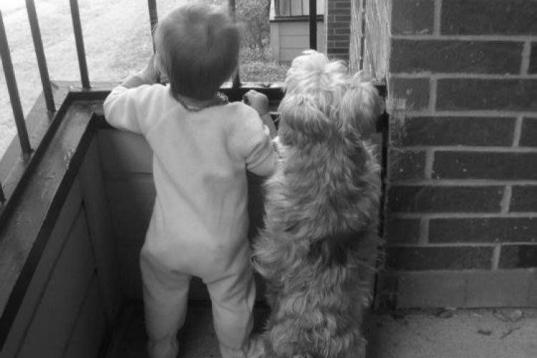 "This is my daughter just after her 1st birthday looking over our balcony. This kid has no fear of dogs and will walk right up to every dog she sees if we let her." - Melissa Versen

For people with furry pets, leaving the house without sporti...