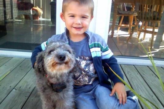 "K, now 3, has learned how to be gentle with his doggy friend Belle, which has come in handy this year when his little brother was born." - Sarah W.

No matter how badly kids want to pull their tails, pat them on their adorable puppy heads or ...