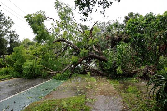 Las cifras preliminares de muertes por la destrucción ocasionada por el huracán Ian en Florida se elevan al menos a 15, según varios medios de EE.UU. Las estimaciones de pérdidas materiales aseguradas  oscil...