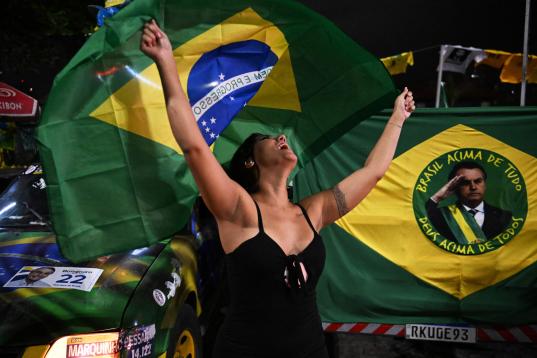 Una partidaria de Bolsonaro, enarbolando la bandera de Brasil. 