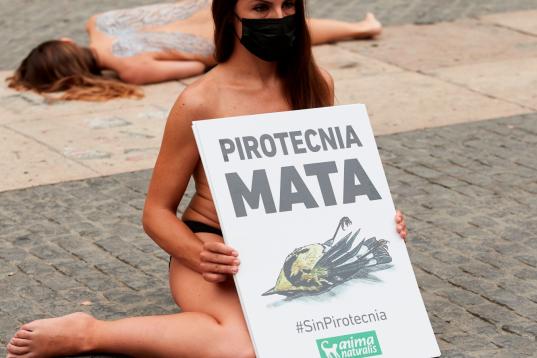 Animalistas se desnudan en Barcelona para pedir fuegos artificiales sin sonido