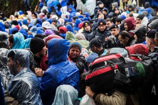 Decenas de miles de refugiados tratan de seguir su camino hacia el centro y el norte de Europa donde aspiran a buscar asilo. Familias enteras tratan de huir de una guerra que había reducido ya la esperanza de vida de los 70 años en 2010 a los ...