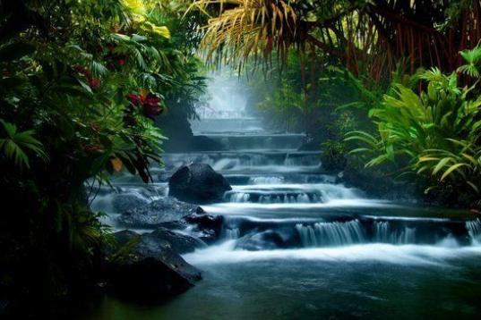 Lo más sorprendente de estas aguas termales es que son 100% naturales. Este spa en mitad de la selva costarricense  es probablemente lo más parecido a un paraíso terrenal que podrás conocer. Situadas en la falda del volcán Arenal, las aguas...