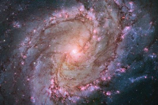 Imagen de Hubble de la Galaxia espiral barrada M83, el "Molino del Sur", que yace a 15 millones de años luz de distancia de la constelación Hidra. Esta imagen mosaico fue lanzada en enero.