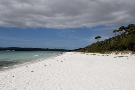 Hay una playa con un récord Guinness: Hyams Beach, en Australia, cuenta con la arena más blanca del mundo, además de estar rodeada de tres parques nacionales y de todo tipo de animales autóctonos. La zona cuenta con parajes naturales salvaje...