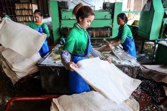 Varias trabajadoras de la fábrica de Thai Hua Rubber Pcl, con las hojas de caucho recién salidas de la lavadora en Samnuktong (Tailandia). 