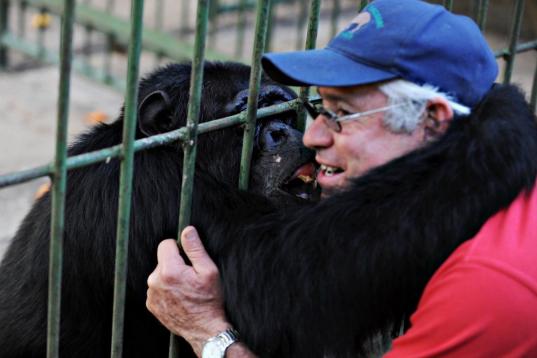 Un chimpancé de 26 años llamado Pipo se abraza a su veterinario en el zoo de Managua.

(Photo credit ELMER MARTINEZ/AFP/Getty Images)