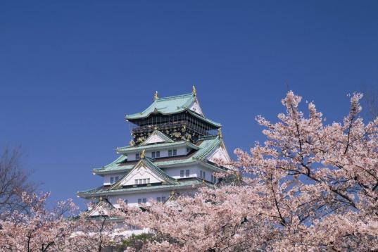 Una visita imprescindible en la ciudad japonesa de Osaka es su castillo, que data del siglo XVI y es uno de los más bellos del país. Aunque debido a incendios o guerras, y hasta rayos, ha sido reconstruido en varias ocasiones, aún conserva su...