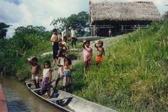 En el Amazonas, en 1987. 