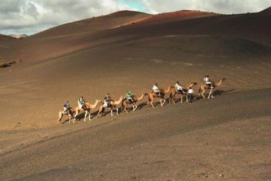 Aunque es apto para todas cualquier edad, a esa en particular resulta realmente divertido. En Parque Nacional de Timanfaya se ofrecen paseos a lomos de camellos, una de las actividades más peculiares y divertidas de la isla. Además, al ser de ...