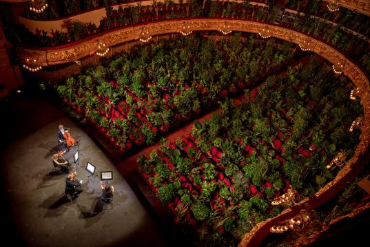 Concierto para plantas en el Gran Teatre del Liceu de Barcelona, Spain, el 22 de junio. 