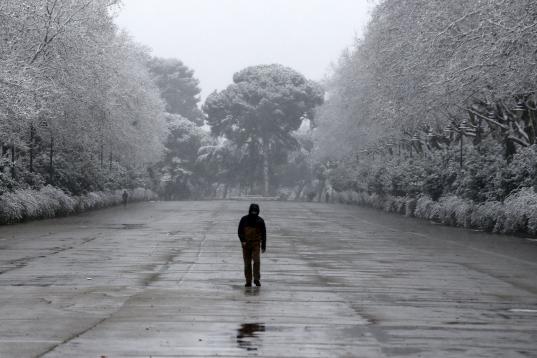El retiro de Madrid, nevado.