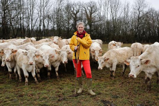 Emilie Jeannin, 37 años, criadora de vacas, con sus charolesas en Beurizot, Francia. "Una vez no pude evitar reírme cuando un consejero agrícola me preguntó dónde estaba el jefe. "¡Estás ...