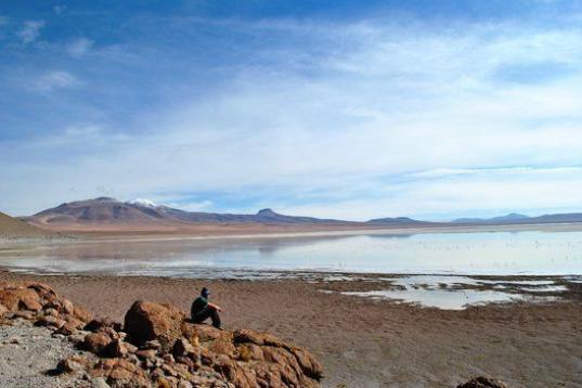 Geográficamente hablando, Bolivia es un maravilloso destino con una gran diversidad de paisajes: llanuras, valles, cuencas… Y es que, desde el Altiplano hasta la región de los Llanos, hay mucho camino por recorrer, siempre teniendo en cuenta...