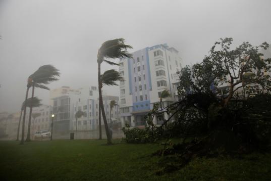El viento golpea las palmeras y los edificios de Ocean Drive en Miami Beach, Florida, el 10 de septiembre de 2017.