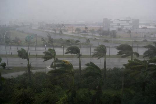 Las palmeras se comban bajo el viento de Miami, Florida, el 10 de septiembre de 2017.