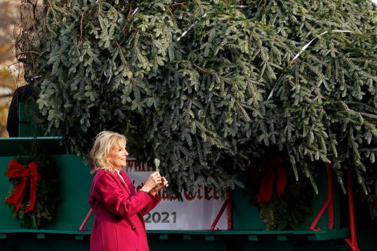 Jill Biden toma una ramita del árbol oficial de la Casa Blanca. 