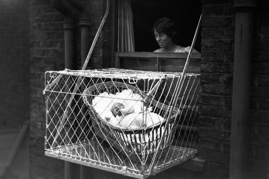 Con la idea de que a los niños les beneficia estar al aire libre, en 1922 se patentó una jaula que se instalaba en las ventanas de los hogares de Estados Unidos para que los bebés estuvieran al aire libre.