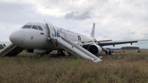 El A320 atrapado en el maizal del sur de Rusia