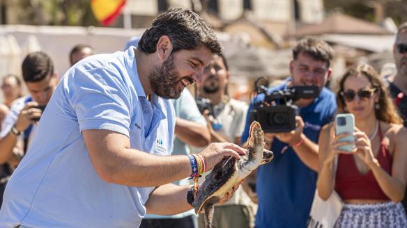 El presidente de Murcia, Fernando López Miras, participa en la liberación de 30 ejemplares de tortuga boba este miércoles en la playa de Isla Plana, Cartagena.