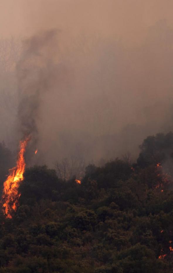 El Incendio De Portbou Avanza Sin Control Tras Arrasar Con Más De 433 Hectáreas 5442