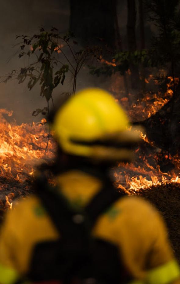 Incendio En Tenerife El Fuego Se Atrinchera En Un Punto Crítico Y Es Ya El Peor De 2023 2456