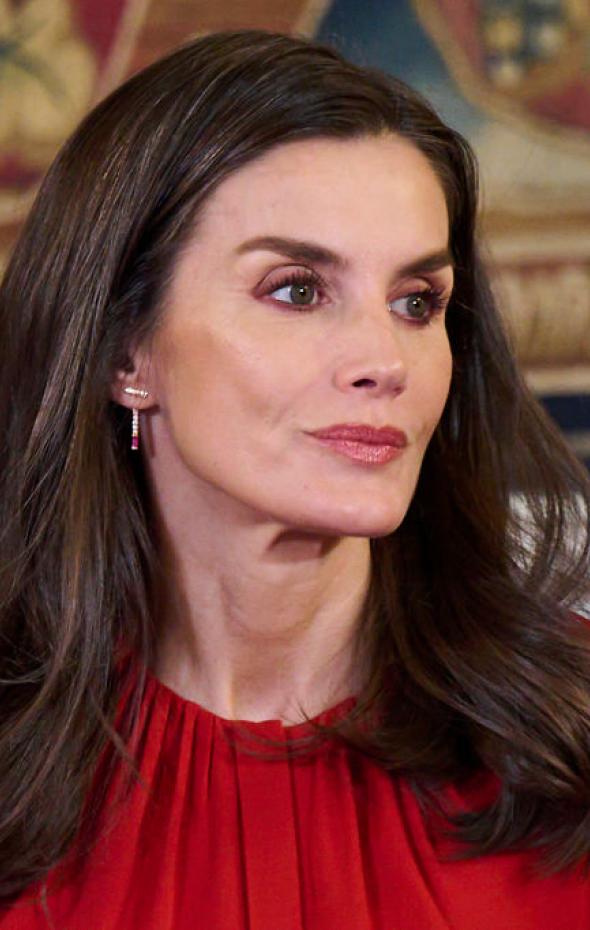 En España nadie ha dicho de Letizia lo que un experto norteamericano de ...