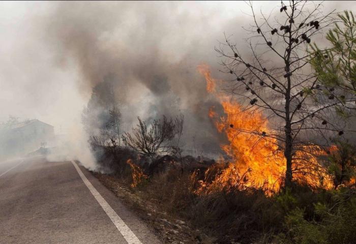 Continúan los incendios en Valencia a pesar de vientos favorables a la extinción