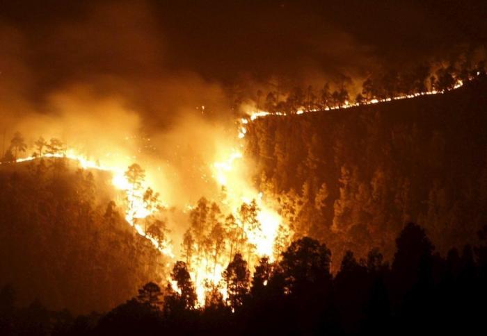 El incendio de Tenerife obliga a desalojar a 1.800 personas y alcanza el Teide (FOTOS)