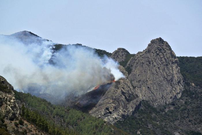 Los incendios arrasan 130.830,20 hectáreas de superficie forestal en lo que va de año