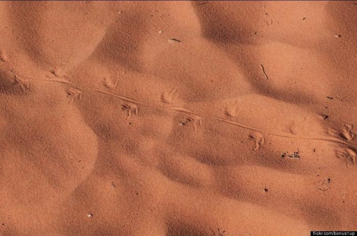 Paisajes de sitios que se parecen a Marte: Monegros, Mojave, Atacama... (FOTOS)