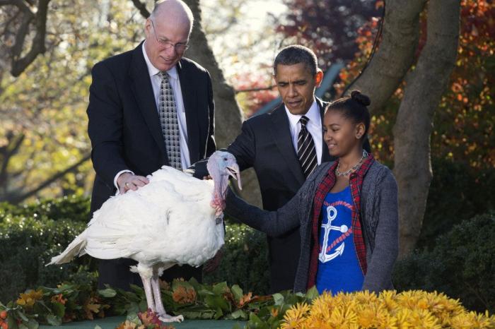 El pavo de Obama: Cobber, el primer animal indultado por Facebook en Acción de Gracias