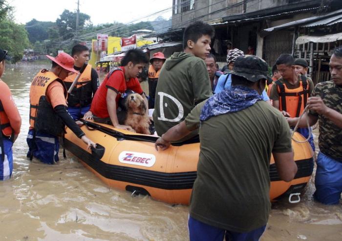 El tifón 'Bopha' deja al menos 238 muertos a su paso por Filipinas (FOTOS)