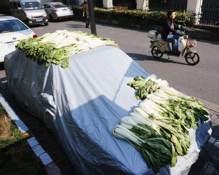 Ropa, colchas, verdura, pescado: 15 formas de poner las cosas a secar en China (FOTOS)
